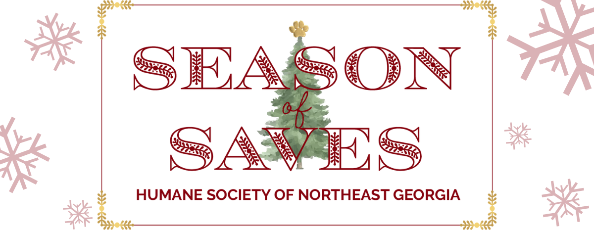 Season of Saves 2024 - Stories of the Saved